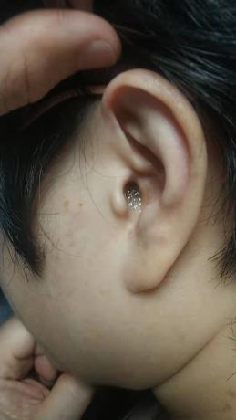 工作诚可贵，事业价更高。若因健康选，二者皆可抛。