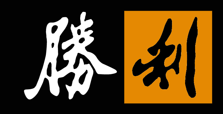 政审